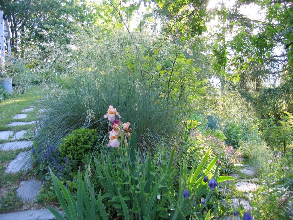 Вилла Il Giardino Dell'Artemisia Пила Экстерьер фото